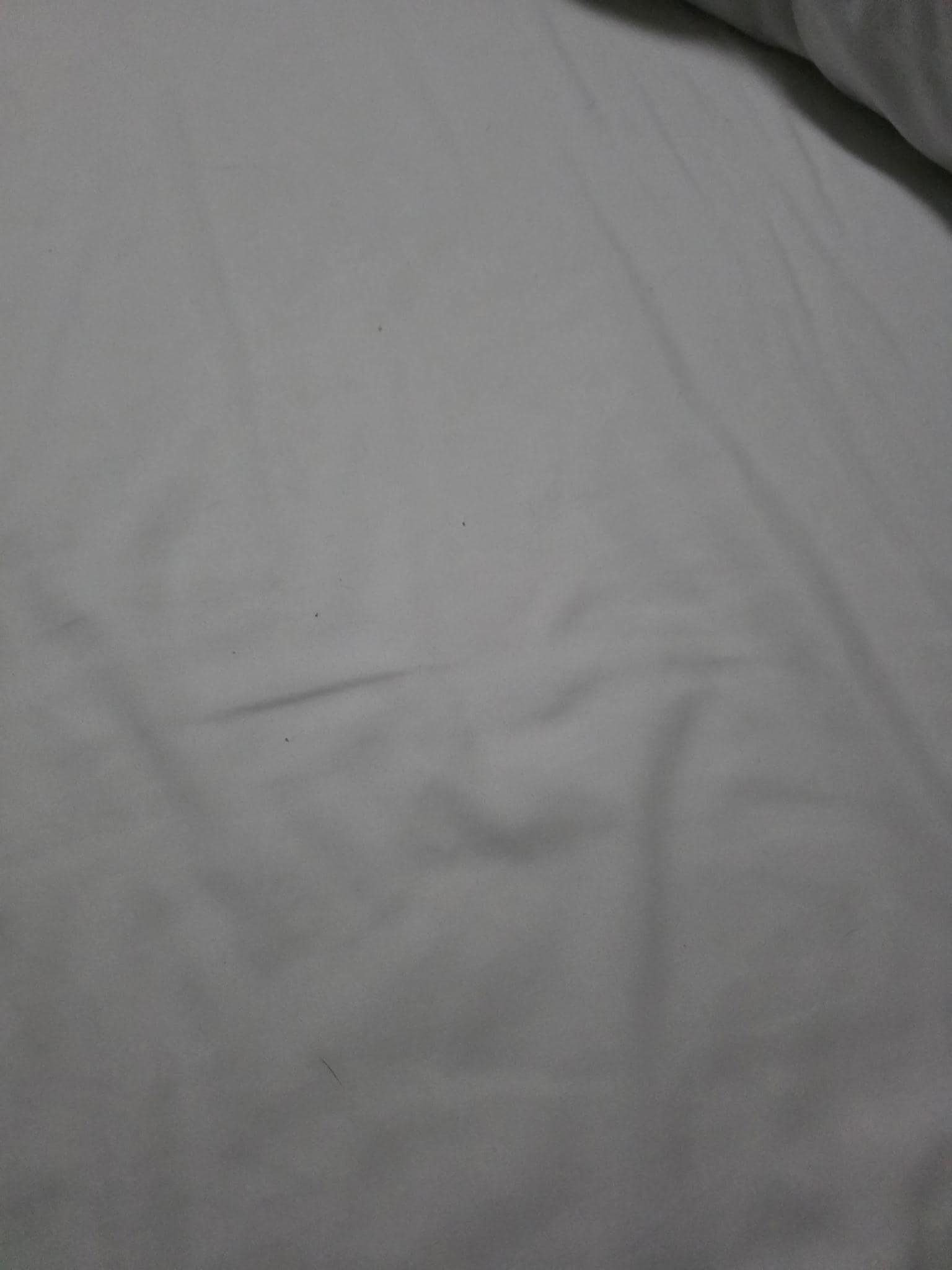 Sheets were not changed. Littered with human hair and animal hair.