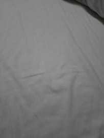 Sheets were not changed. Littered with human hair and animal hair.