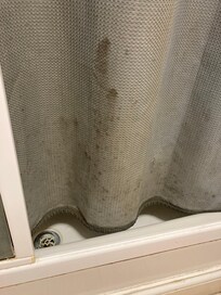 Shower Curtain