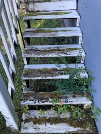 Back step my husband broke fell through.