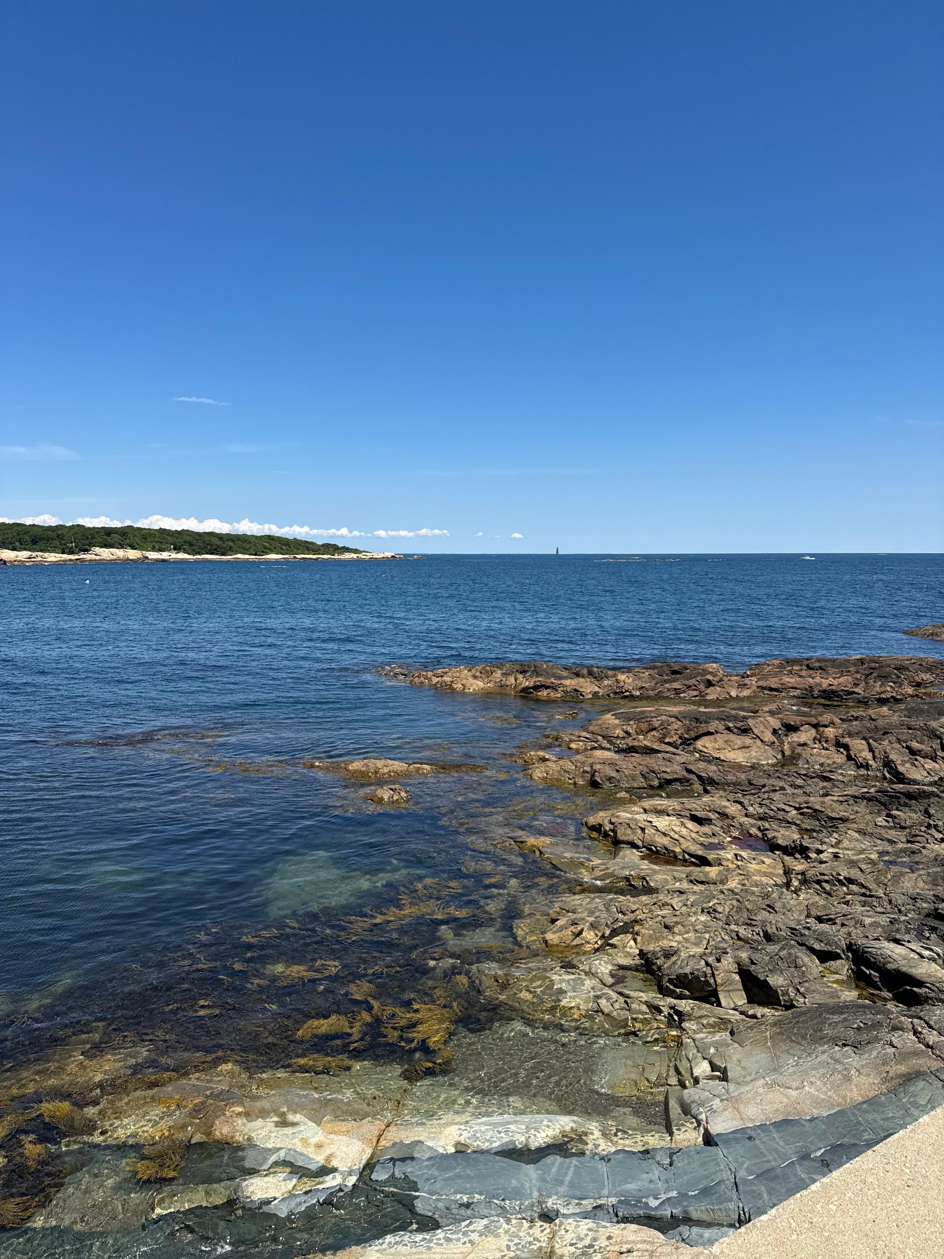View from Deck