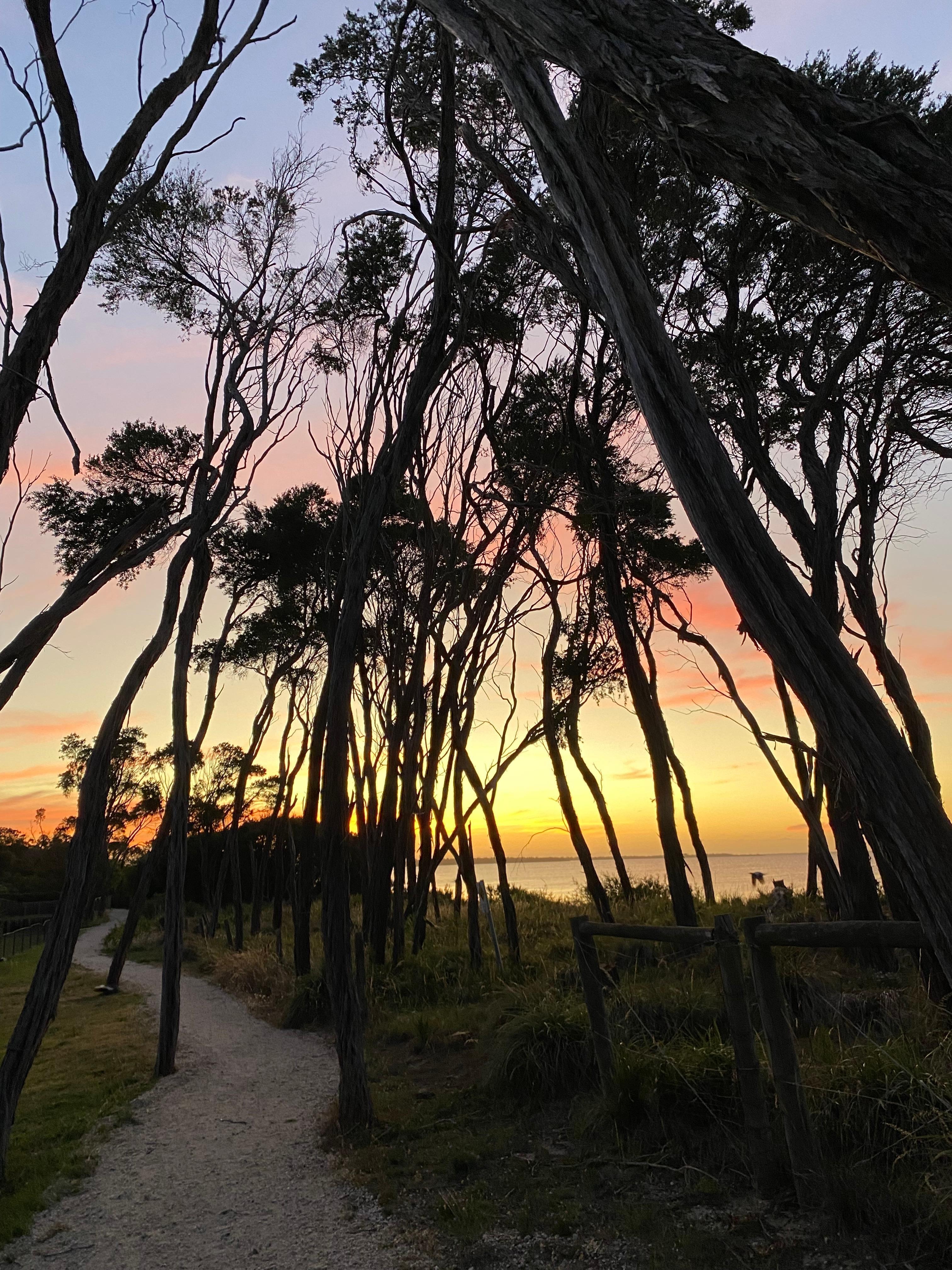 Beautiful location near the lake and right on the walking track. 