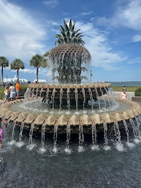 Pineapple fountain