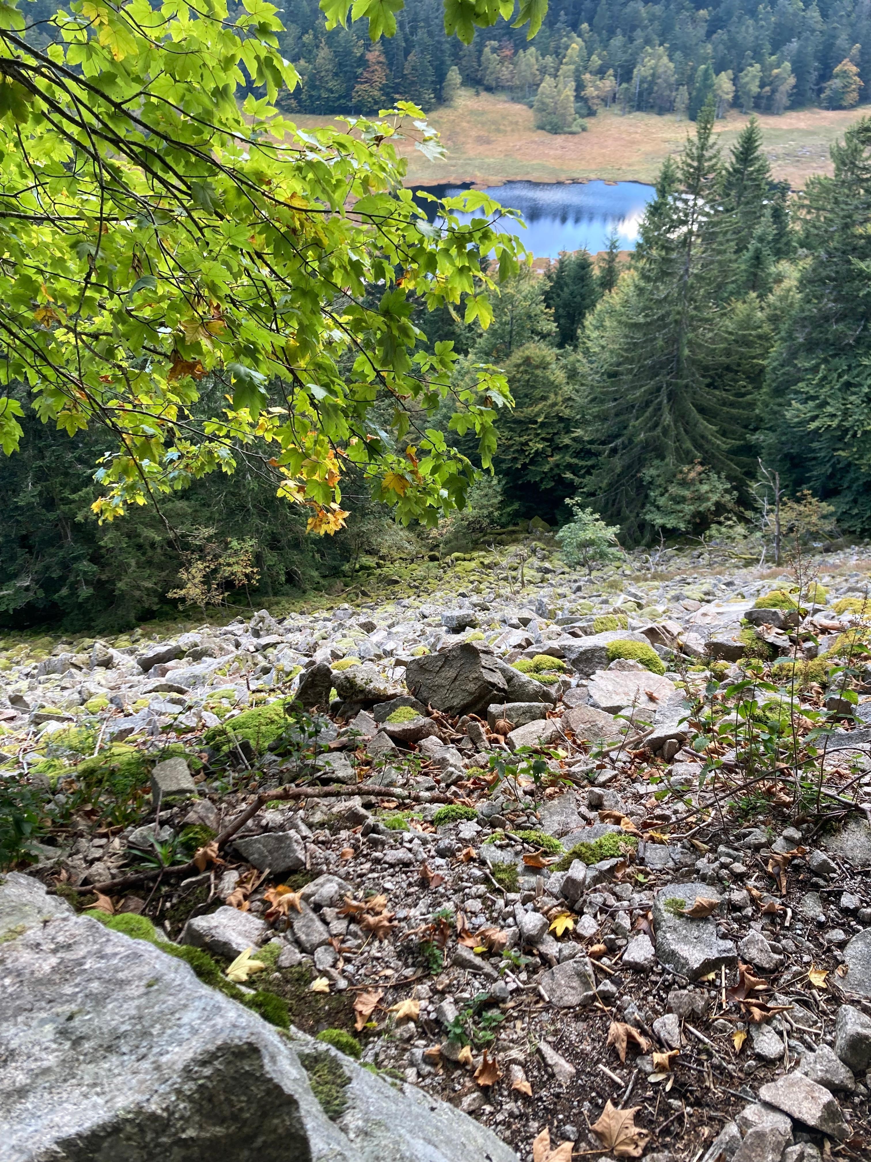 Oberhalb l’Étang de Machais