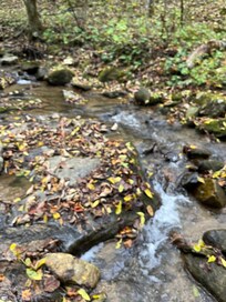 Samâs Creek