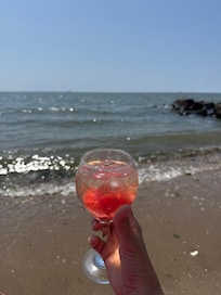 On the beach at the house