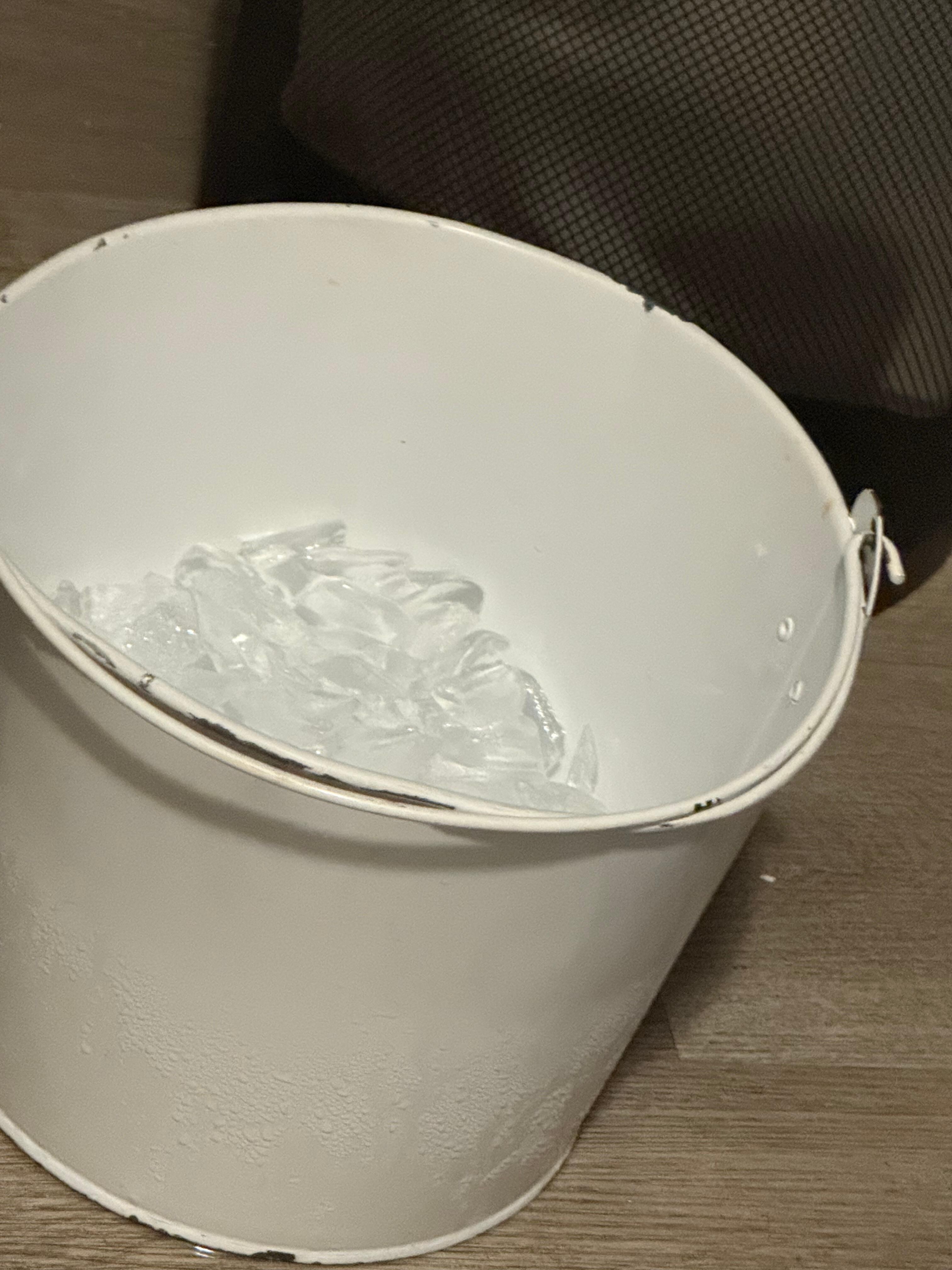 Metal ice bucket from downstairs with no plastic bag to keep ice sanitary
