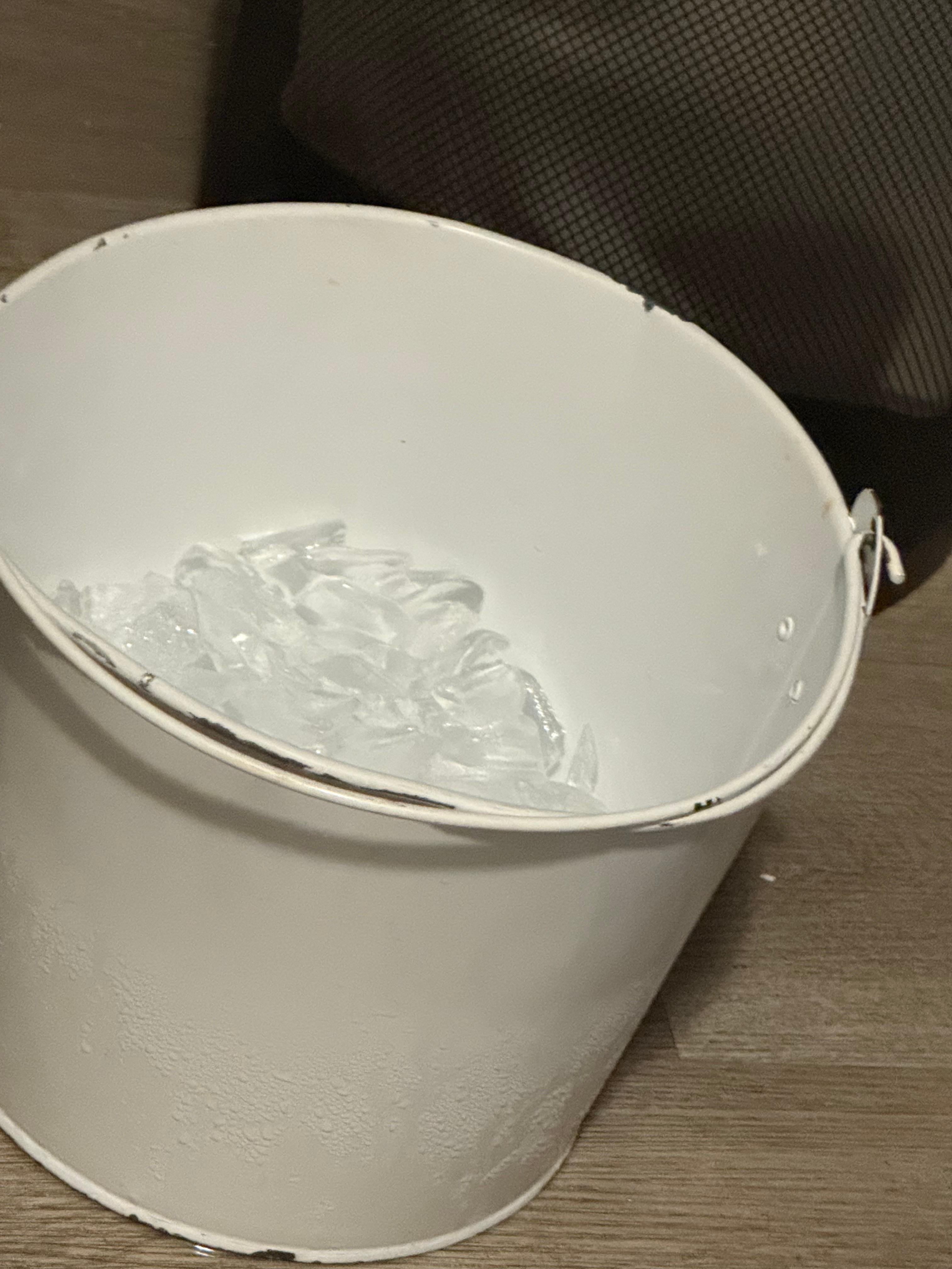 Metal ice bucket from downstairs with no plastic bag to keep ice sanitary