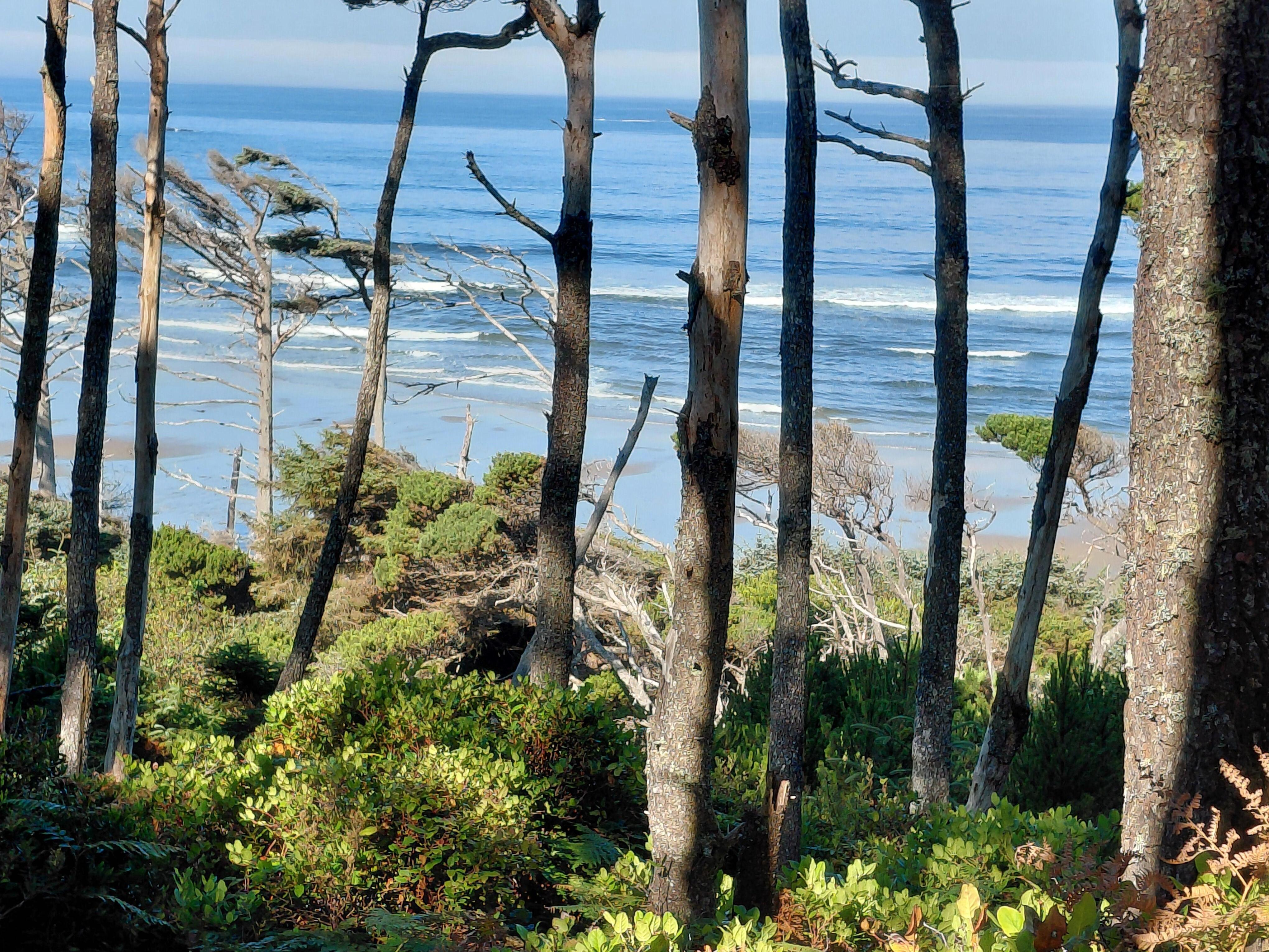 View of the beach while walking down to it.