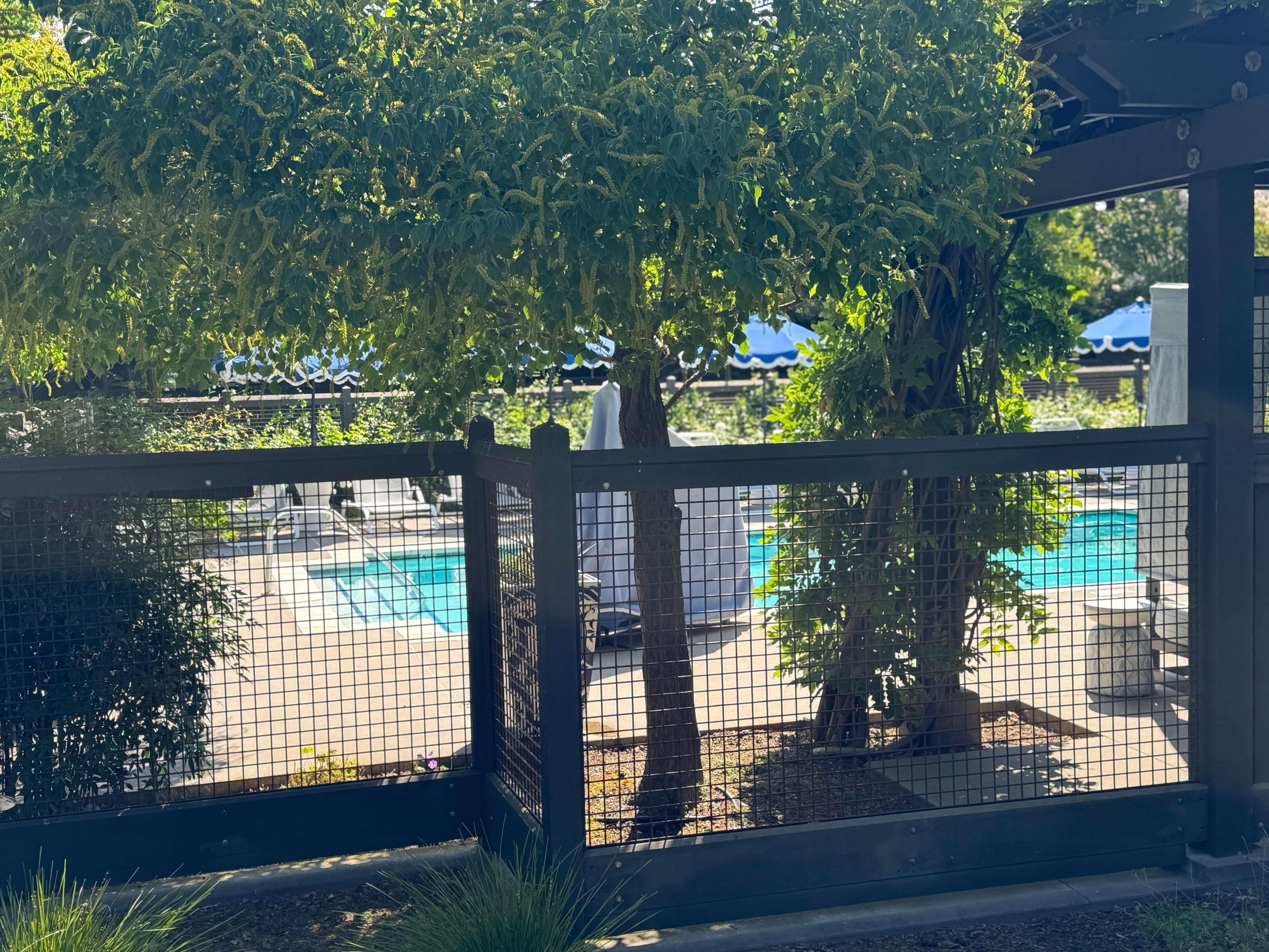 The pool is surrounded by jasmine and we thoroughly enjoyed spending some time resting and reading here.