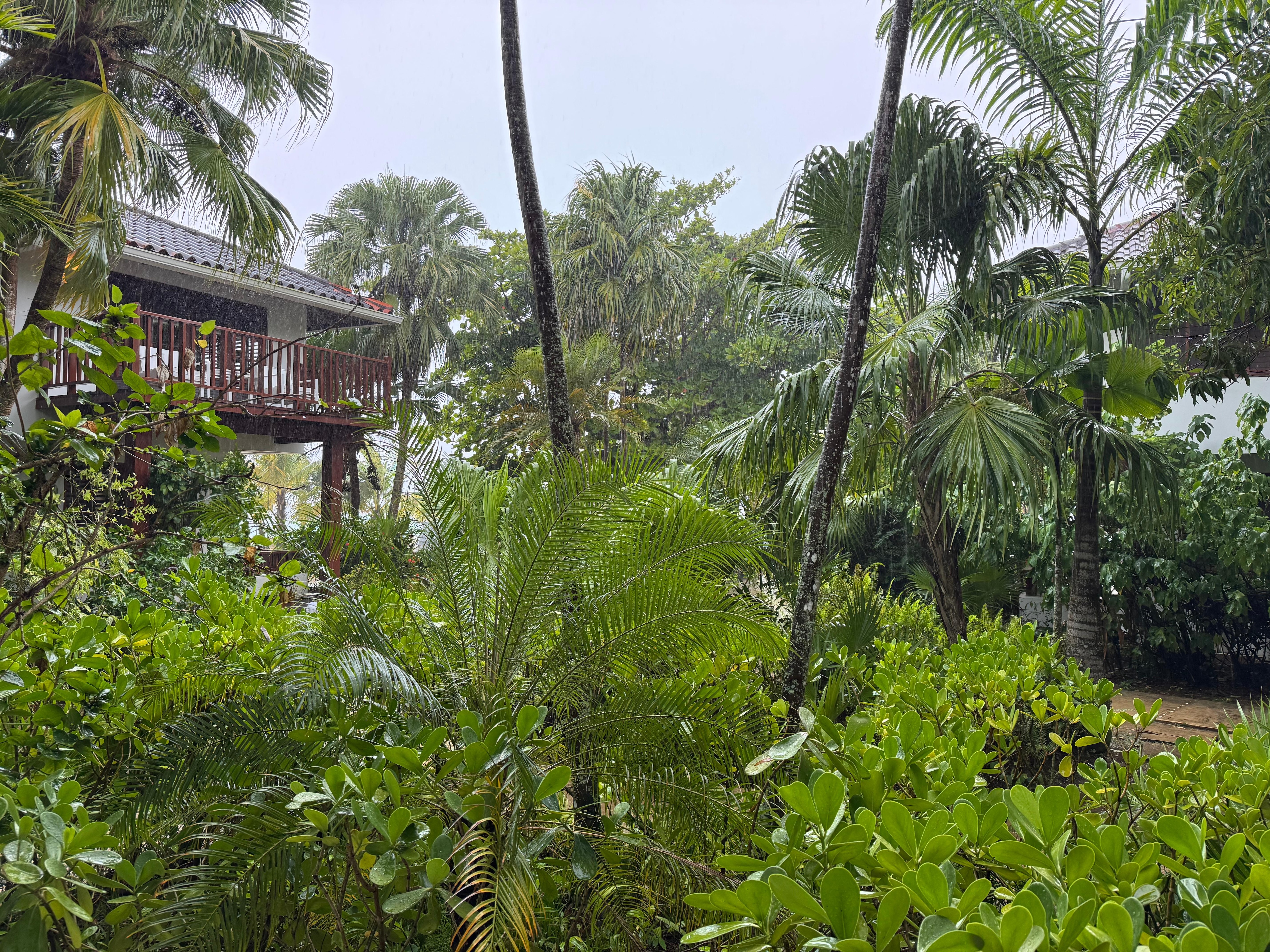 Rooms and garden