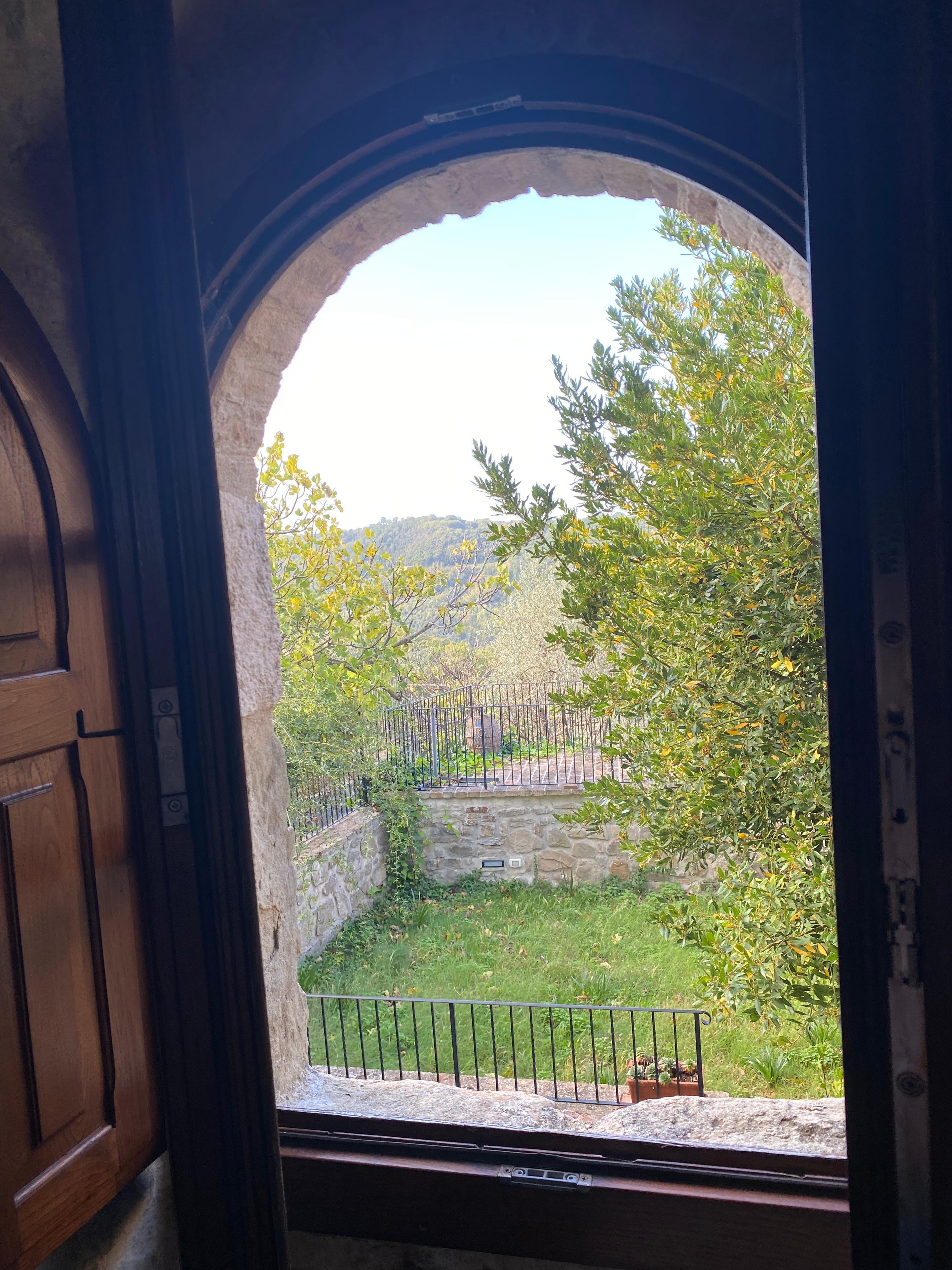 Looking out our kitchen window 