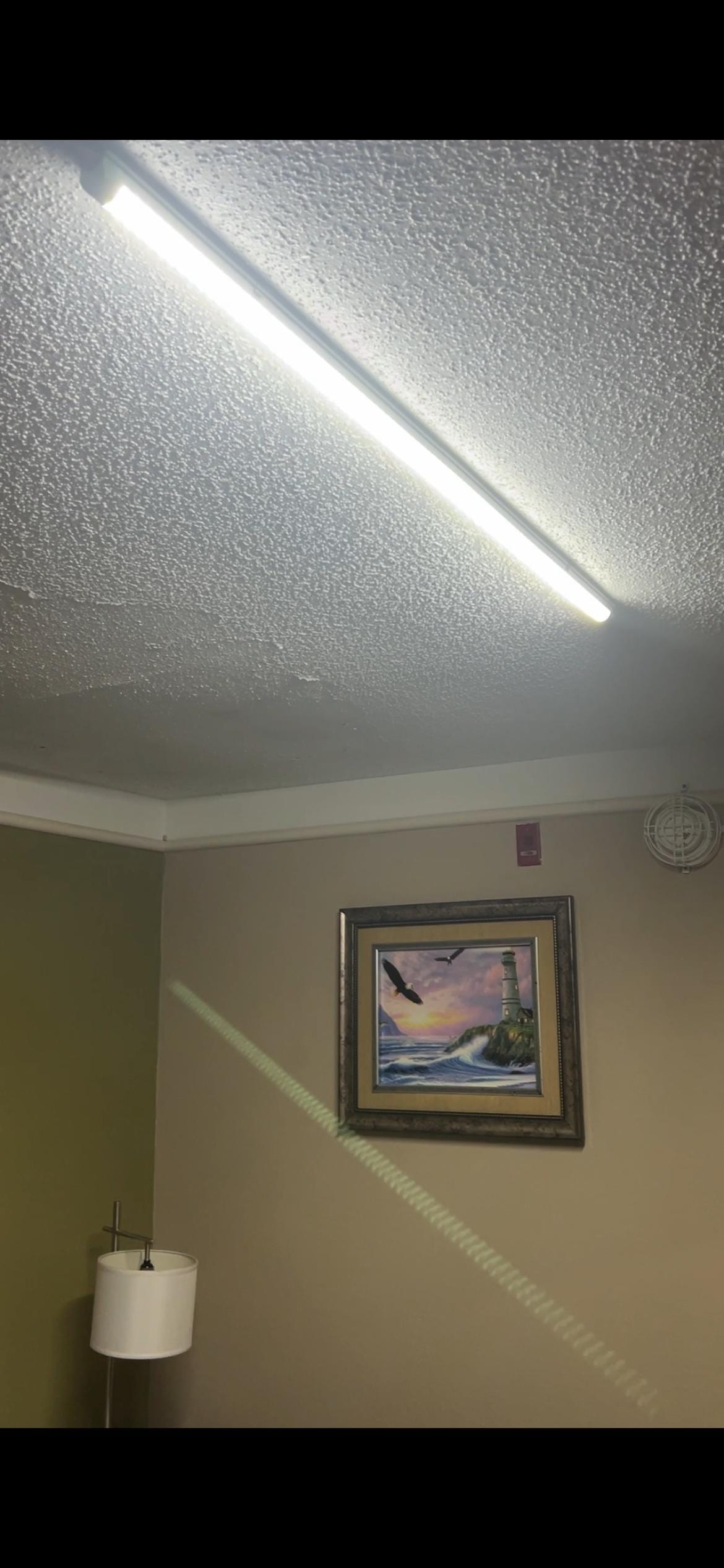 Overhead light in my room.