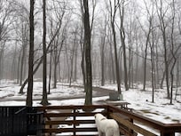 View from the family room