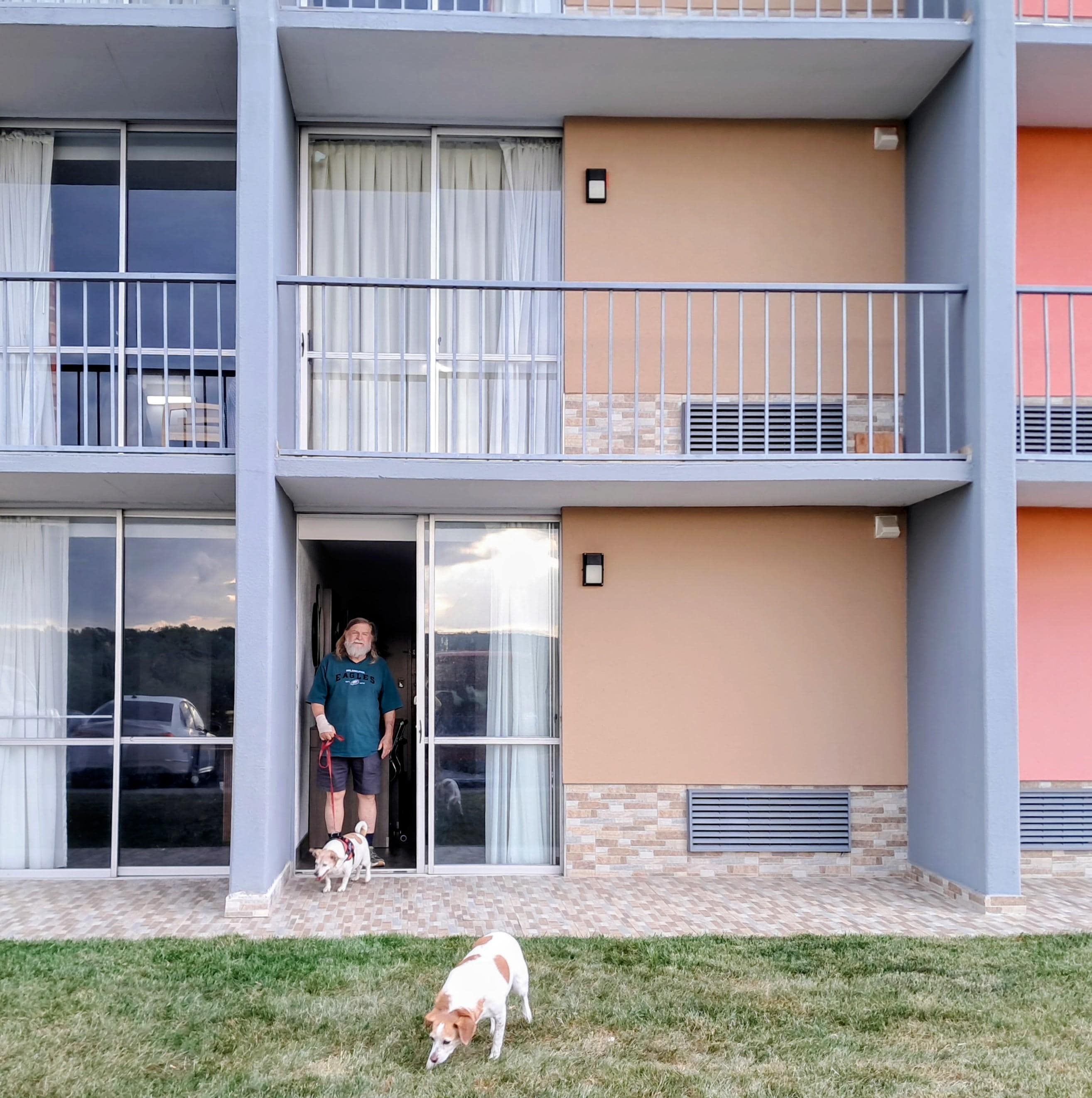 My dogs loved looking out the window to the mountains and the beautiful sunset.