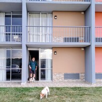 My dogs loved looking out the window to the mountains and the beautiful sunset.