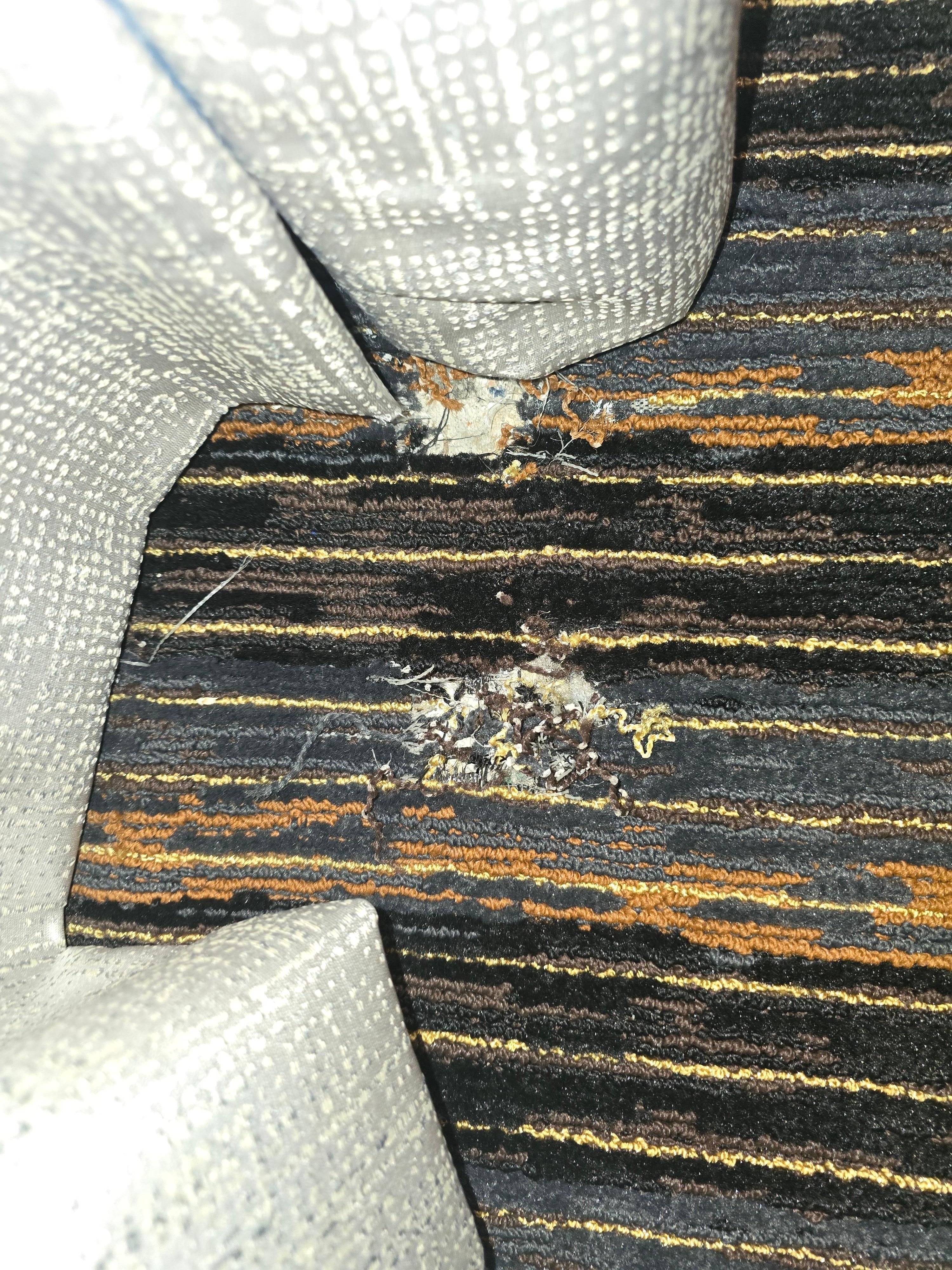 Tarn and warn carpet. Room was smelly