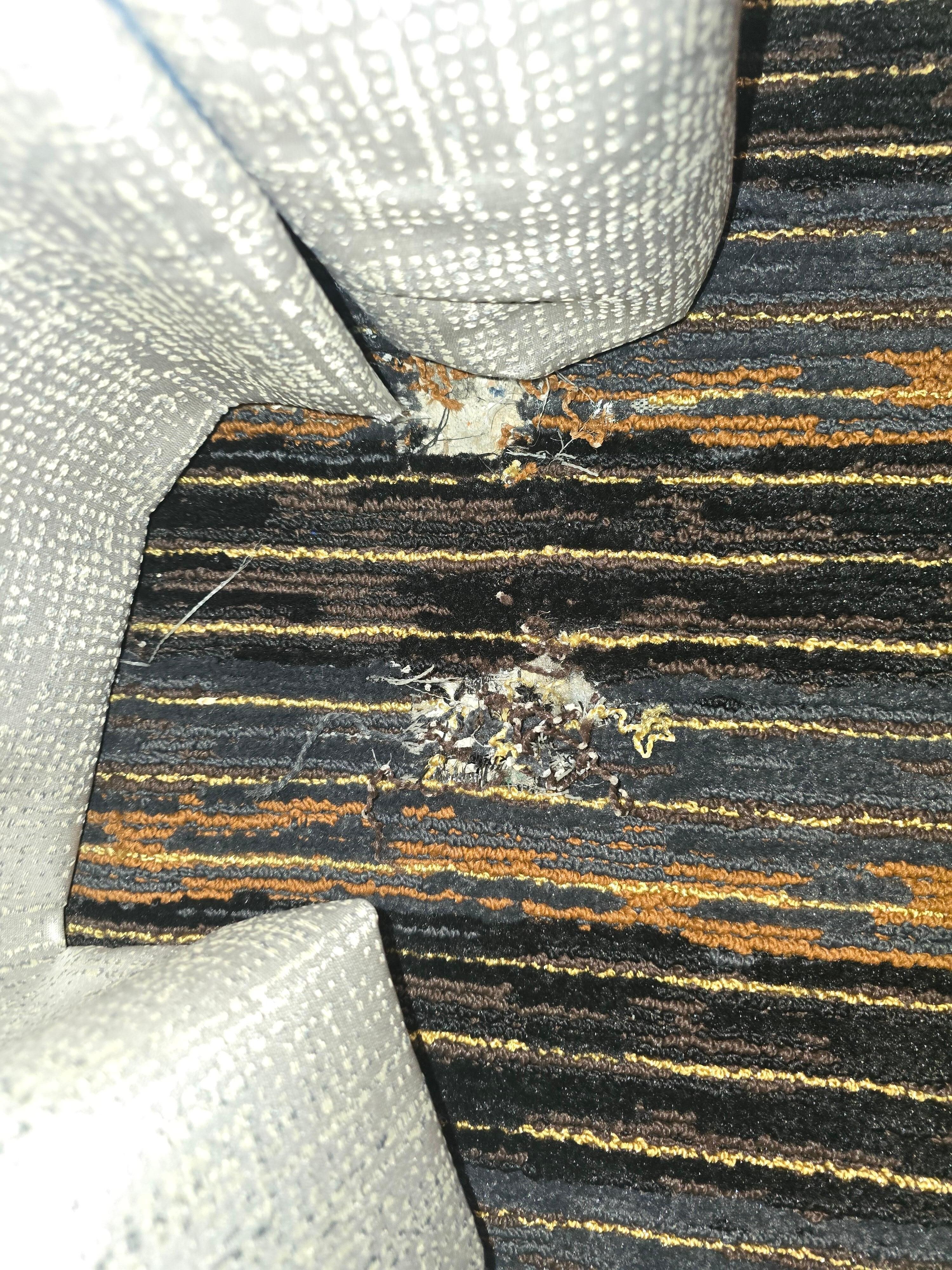 Tarn and warn carpet. Room was smelly
