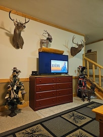 Basement area has a bedroom and bath.