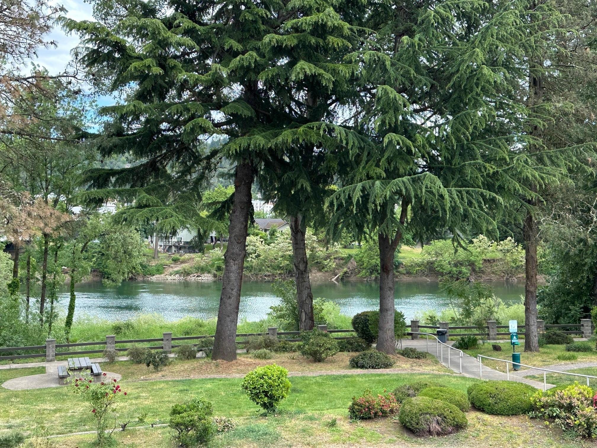 The river from our first floor patio.