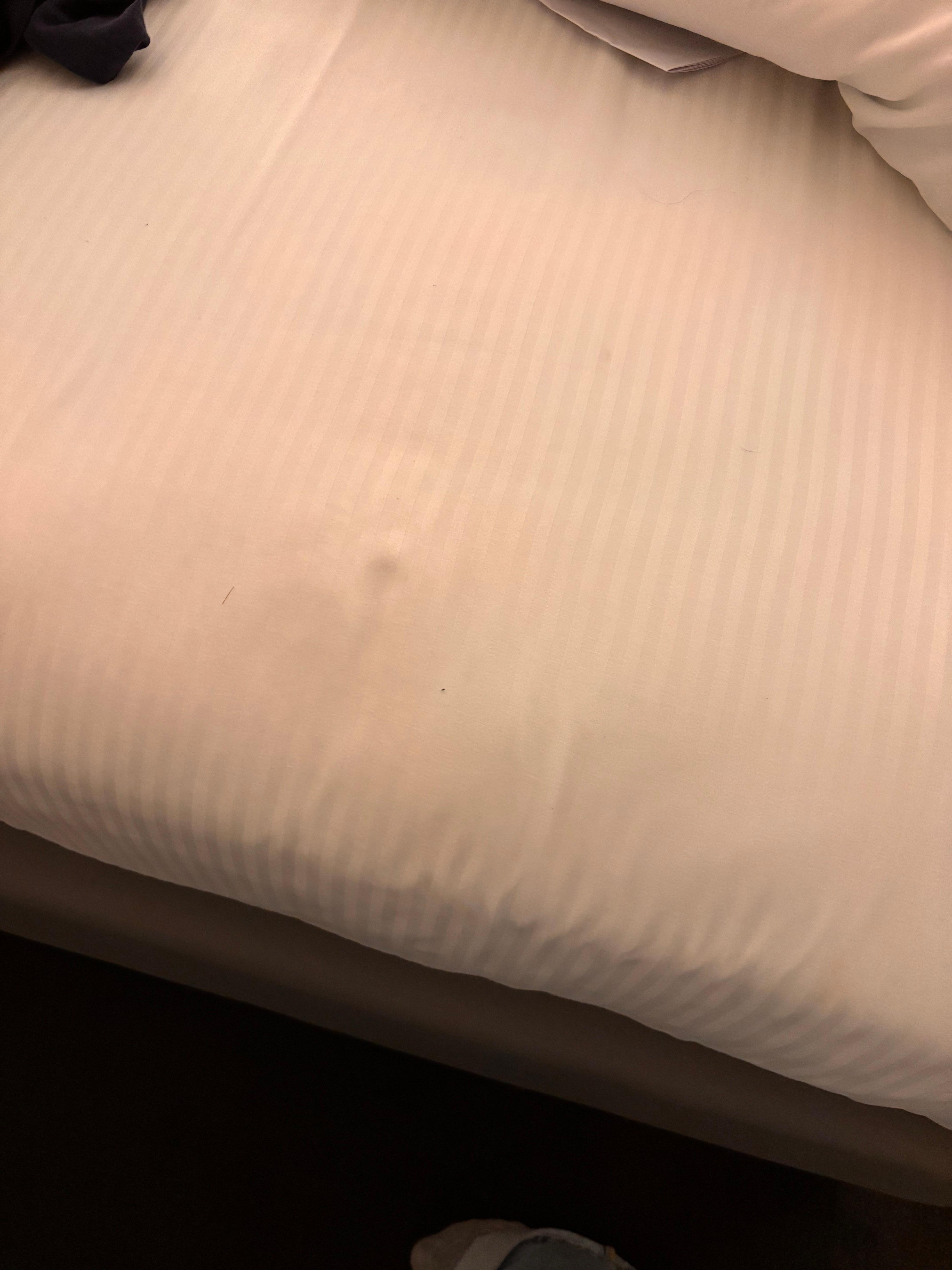 Stains