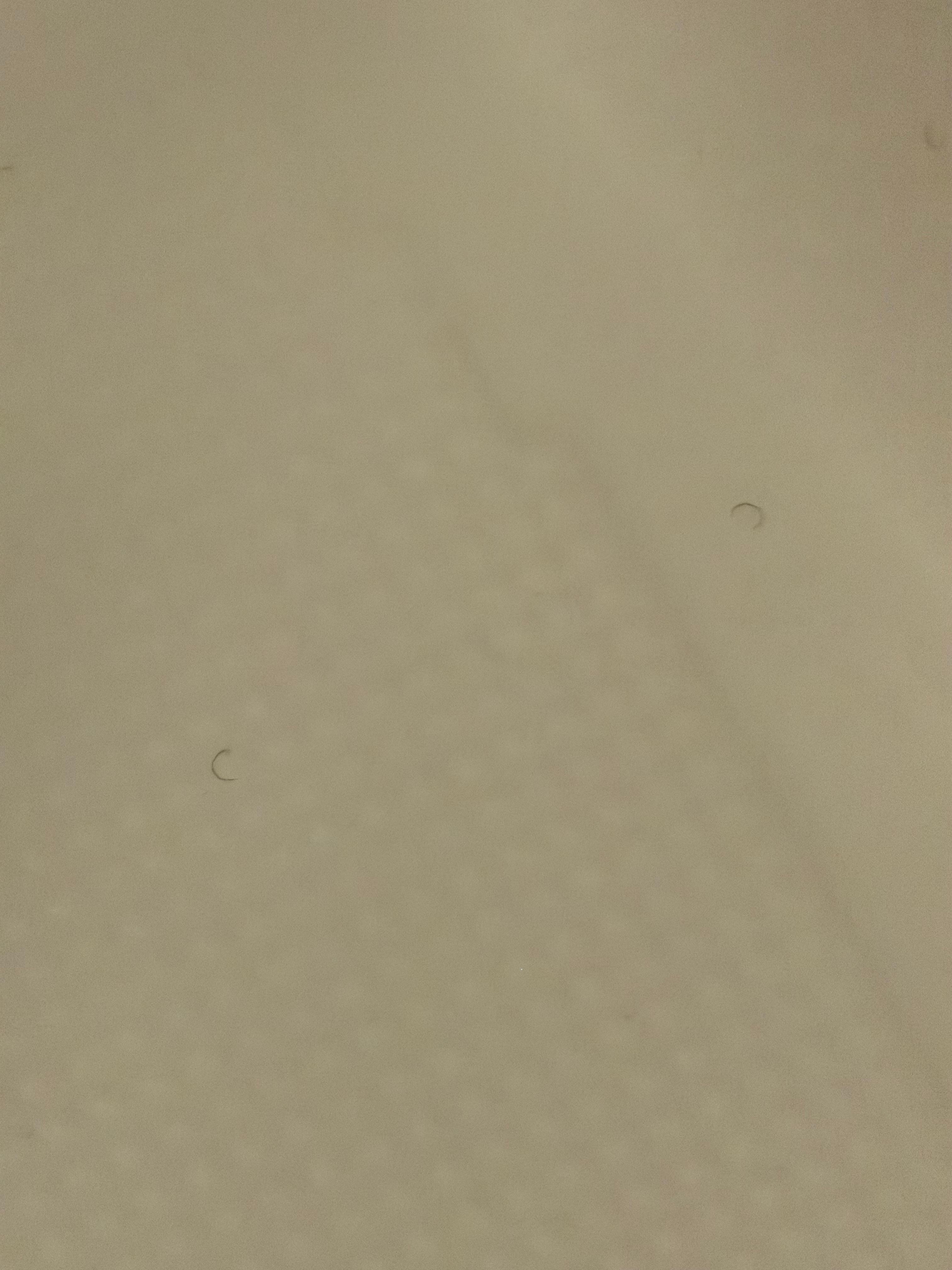 Pubic/hair inside the shower of some sort. 