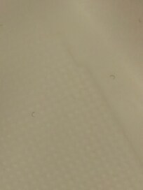 Pubic/hair inside the shower of some sort.