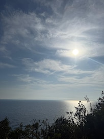 Cala Violina (Scarlino)