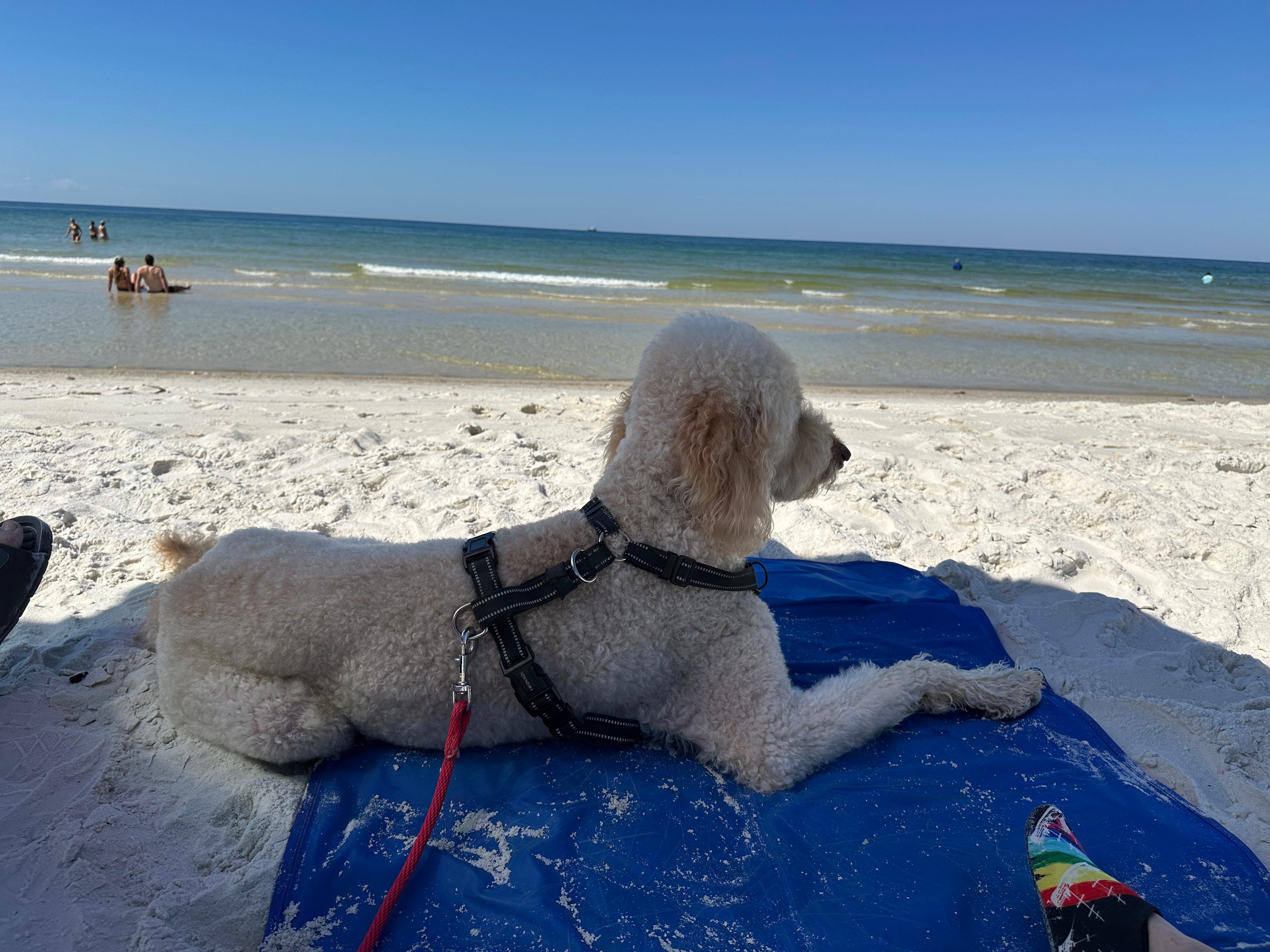 Just chillin’ on the beach