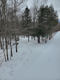 Home Road trail to ski back from Easy Mile
