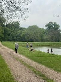 Well stocked lake