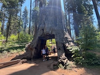 Hiking at Yosemite