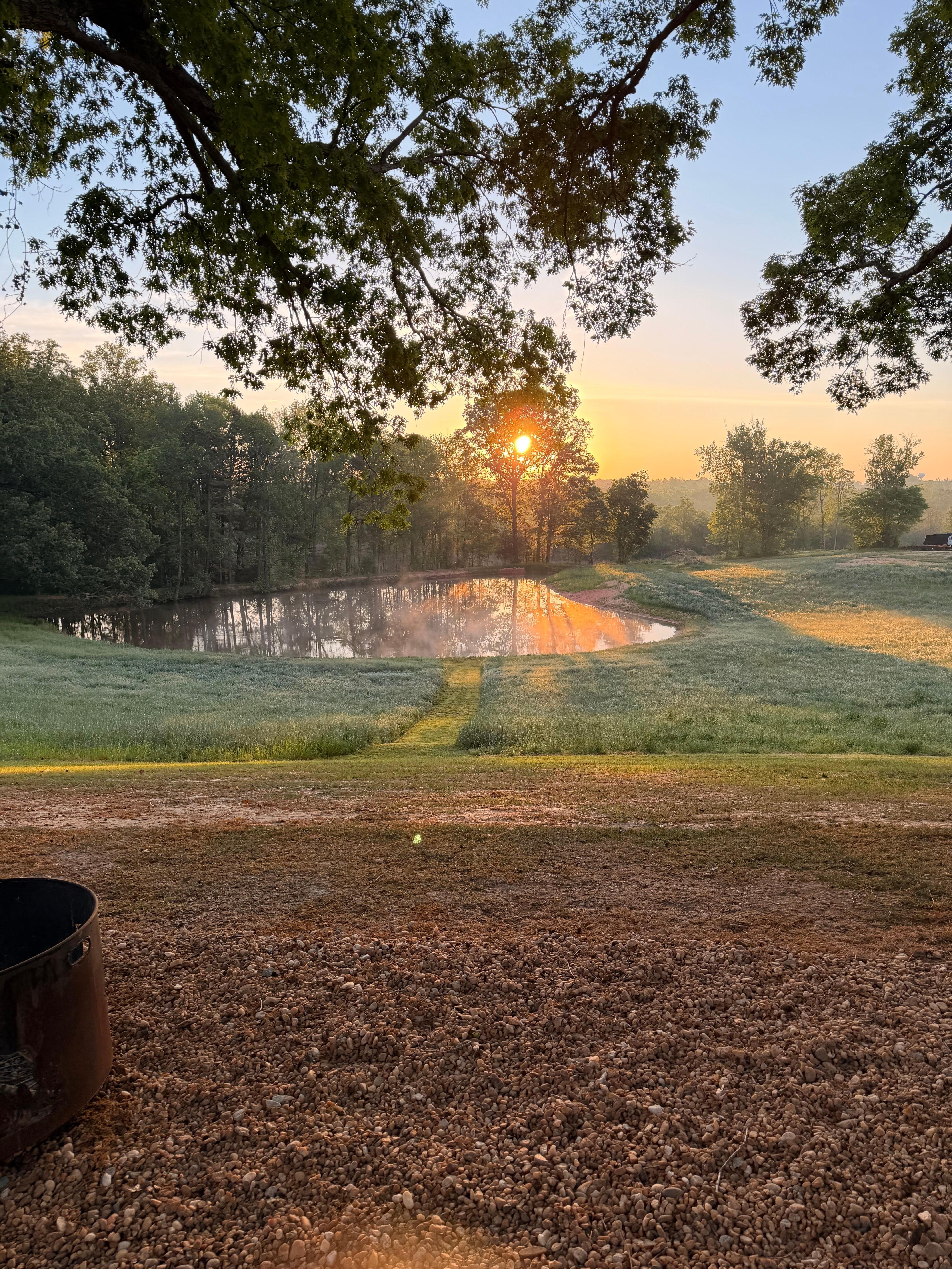 View of the pond during morning sunrise. 