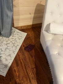 Previous guest panties left in floor