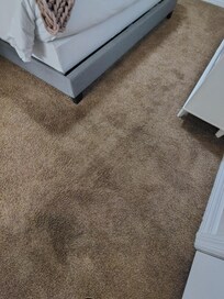 Carpet stained and rooms had a smell