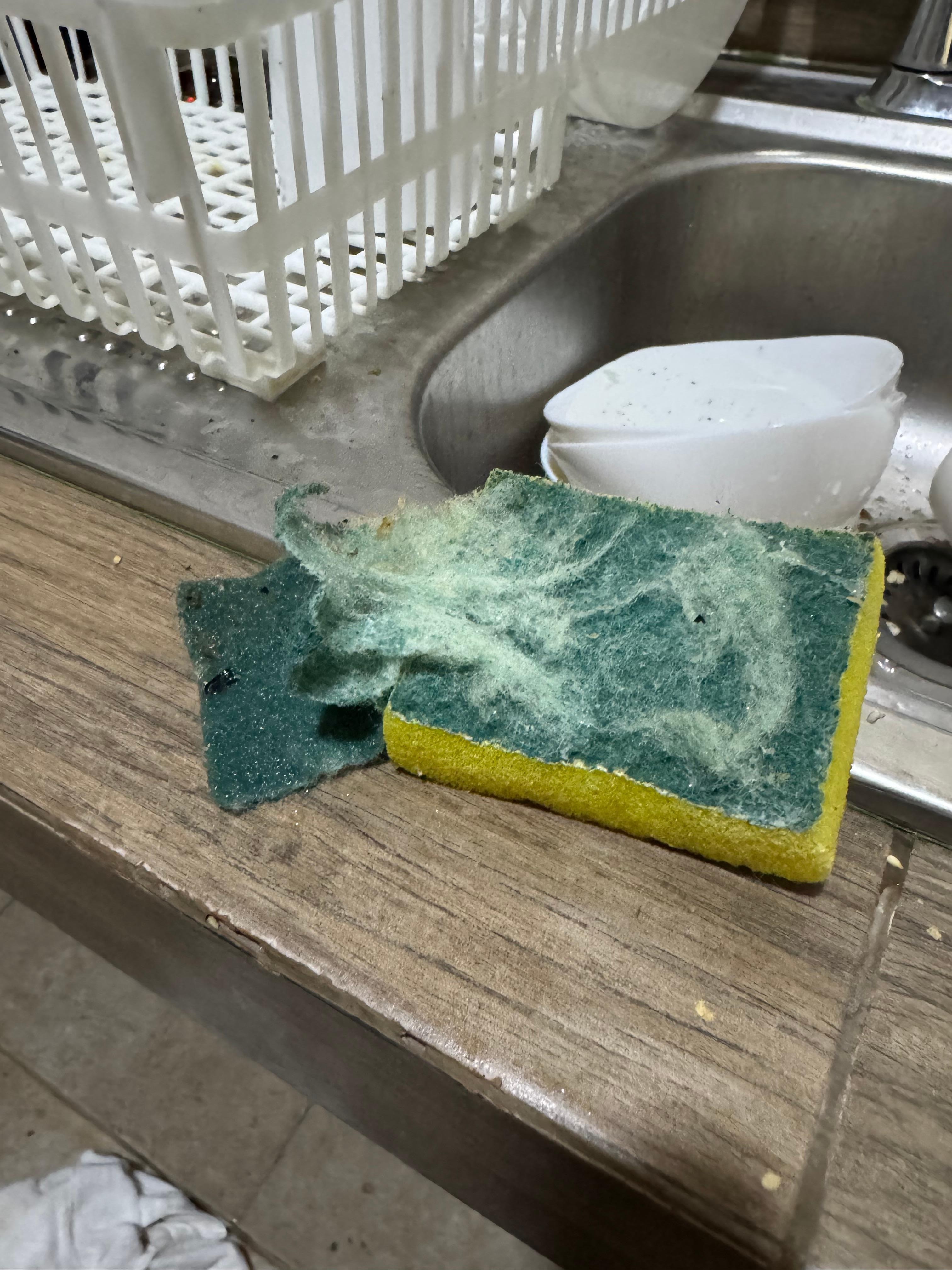 Sponge provides for our stay