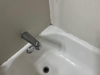 Caulk and or mold around tub