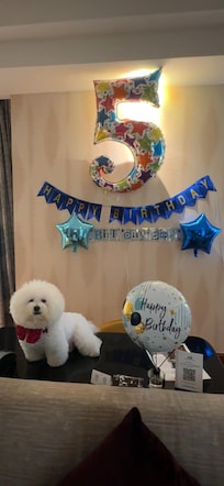 Simple celebration fully decorated in our Junior Suite Room