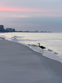 Sunrise on the beach