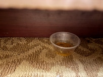 Poison under the bed