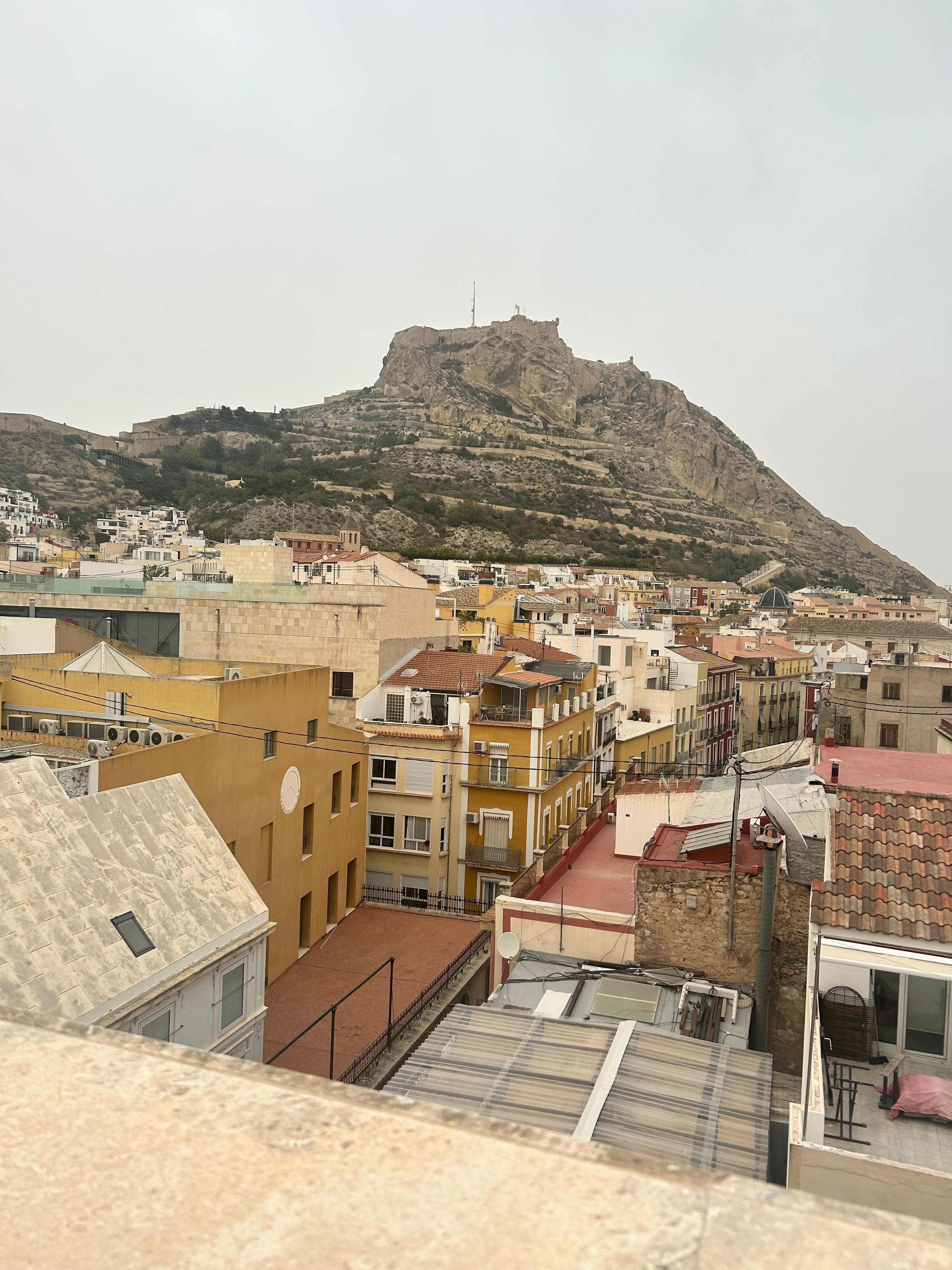 View from
The Terrace. 