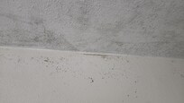 Mold