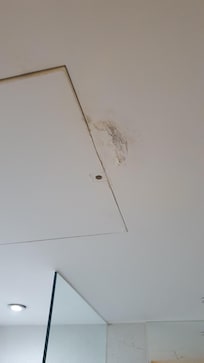 Stain on ceiling