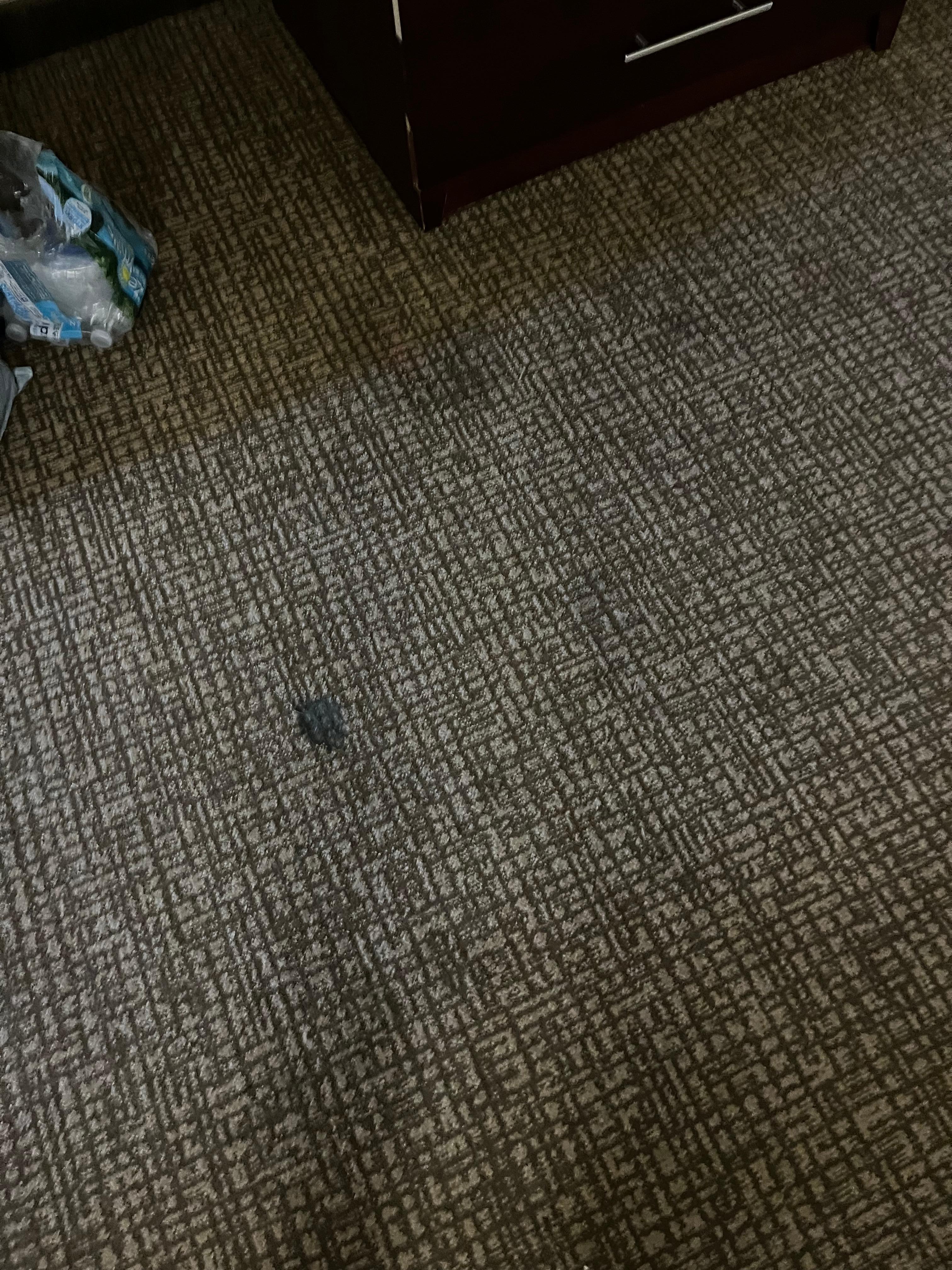 carpet in room