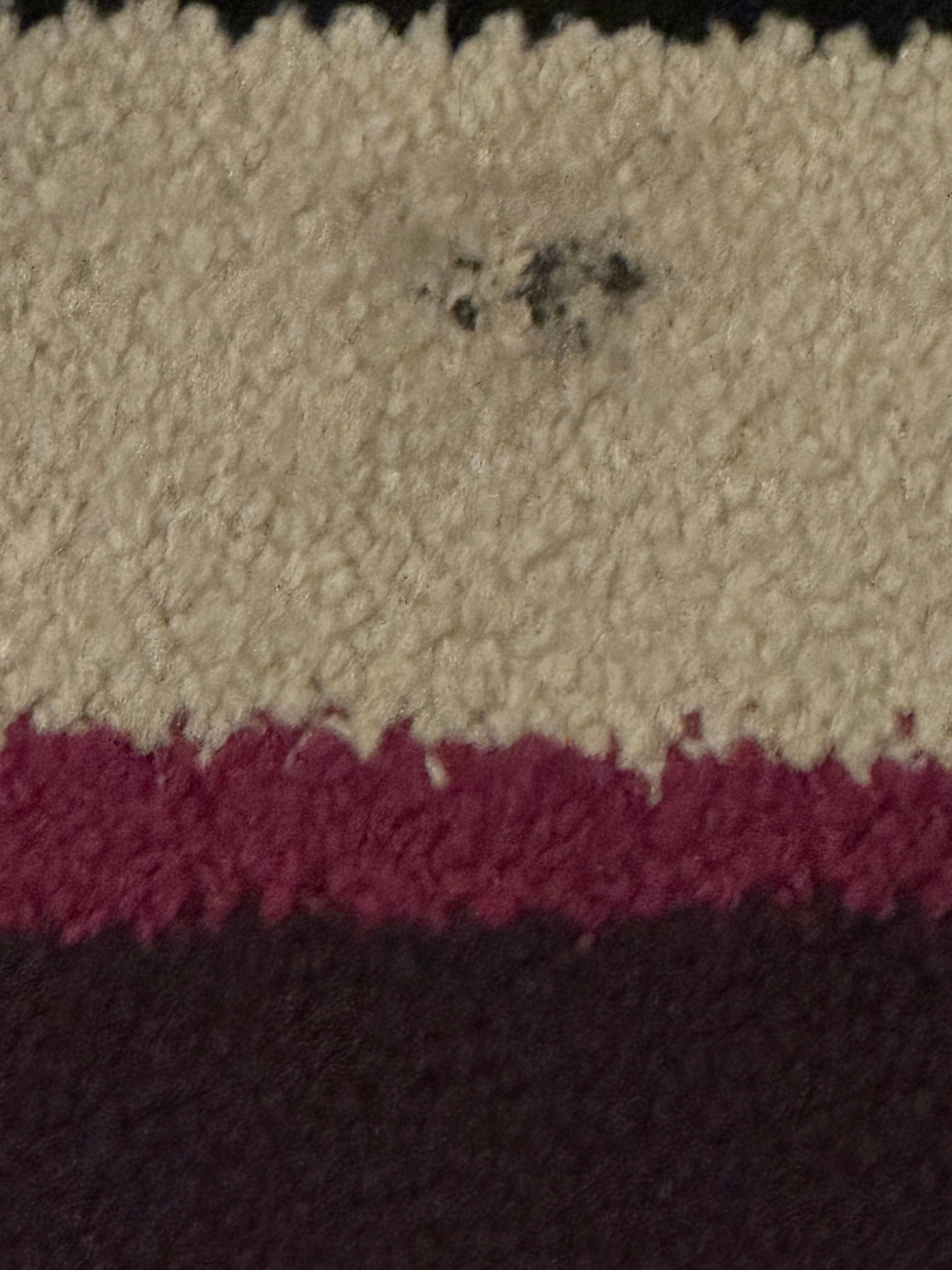 Nasty rug in room with stains