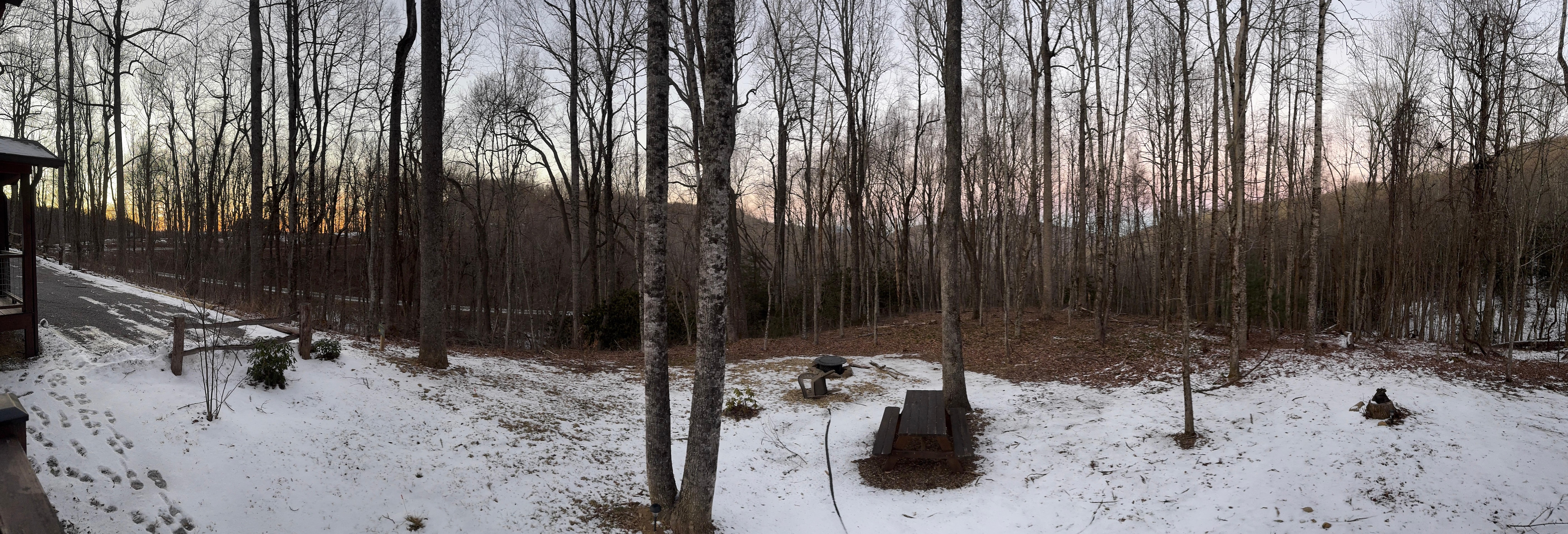 View of back 3/4’s