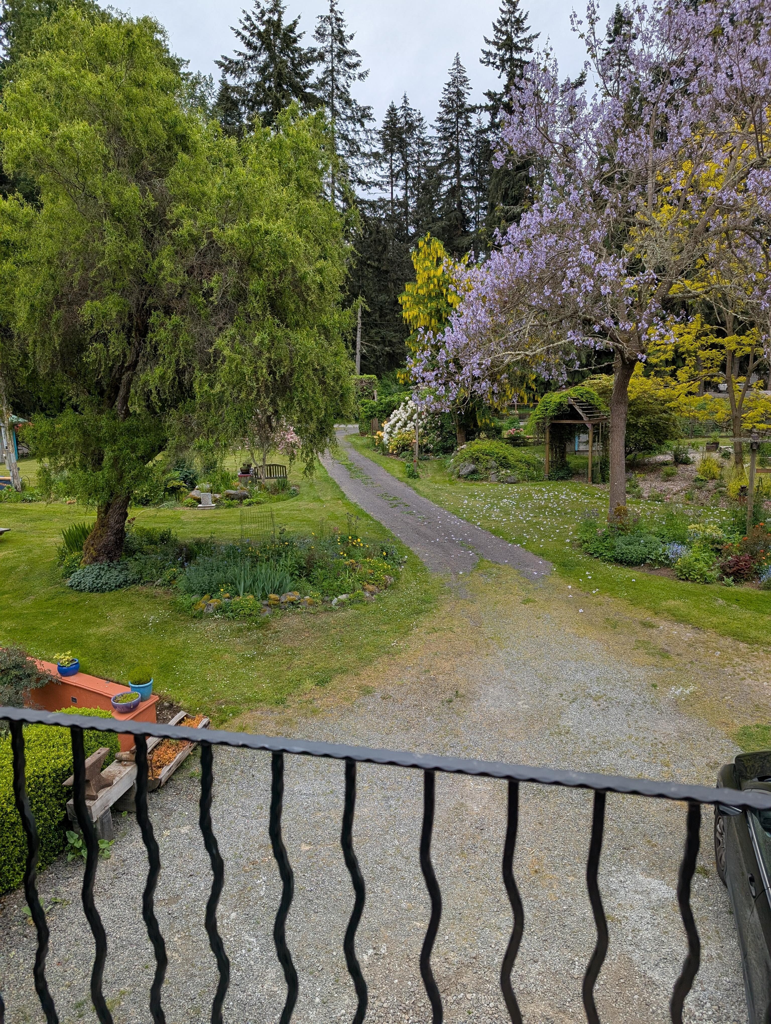 Fairy tale grounds