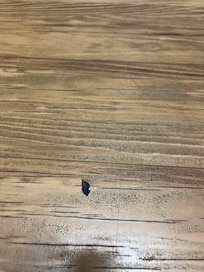 Damage to kitchen floor