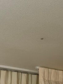 Ceiling, overall room smelled of mildew