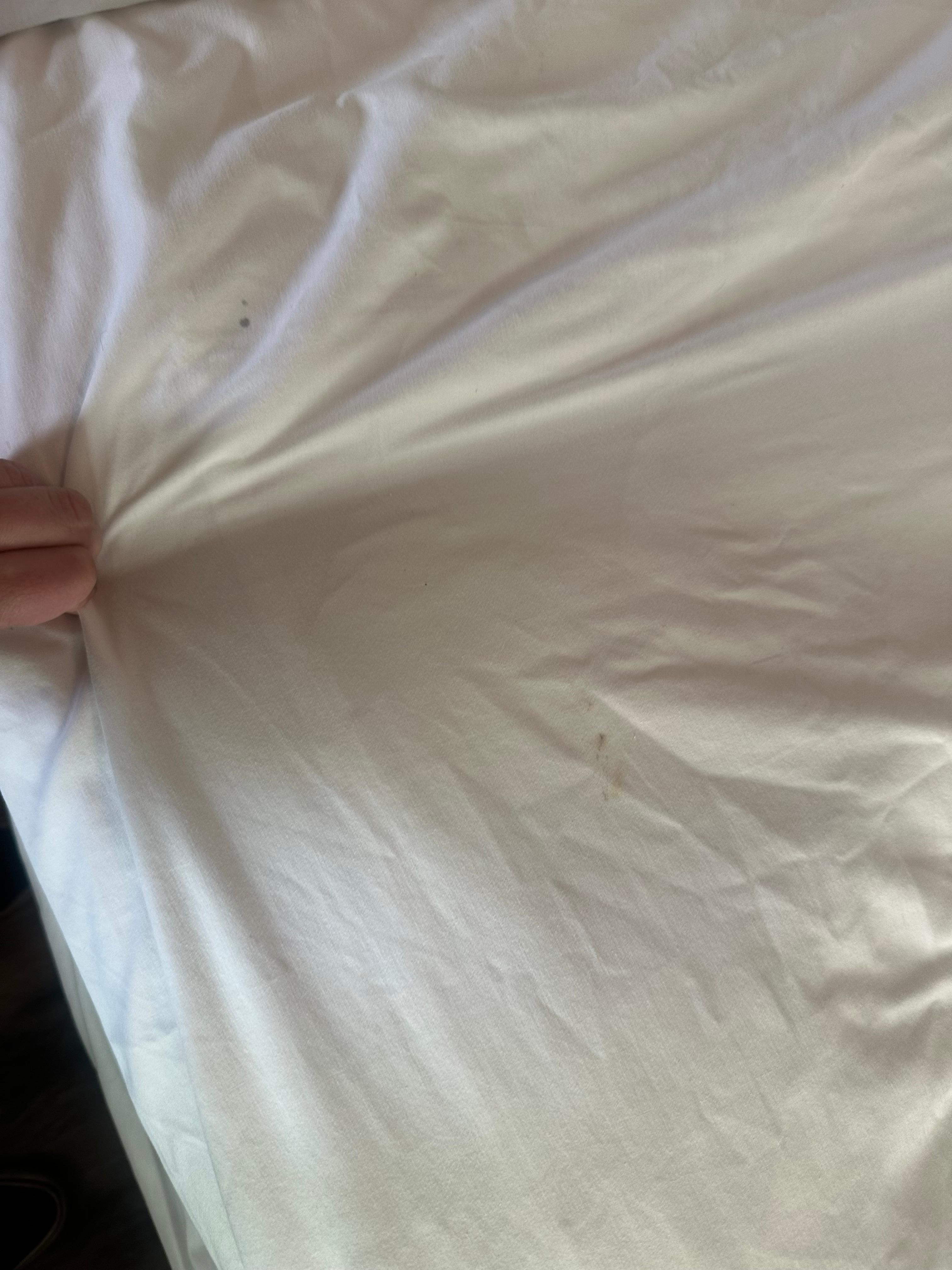 Hair under blanket on sheets